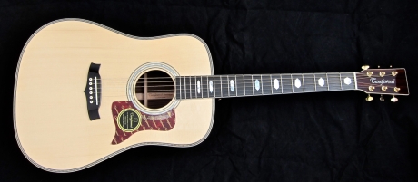 Tanglewood TW1000HSRE – full front
