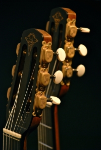 AJL-Guitars – headstocks